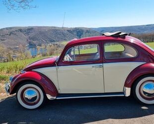 VW Käfer Gebrauchtwagen