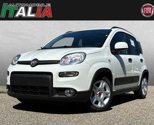 Fiat Panda Gebrauchtwagen