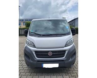 Fiat Ducato Gebrauchtwagen