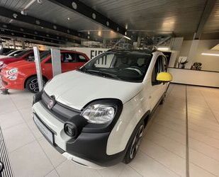 Fiat Panda Gebrauchtwagen