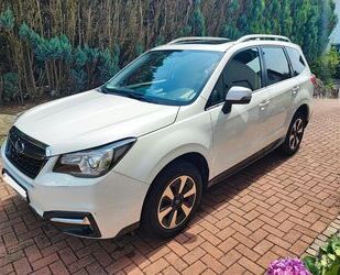 Subaru Forester Gebrauchtwagen