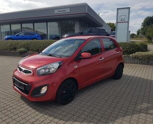 Kia Picanto Gebrauchtwagen