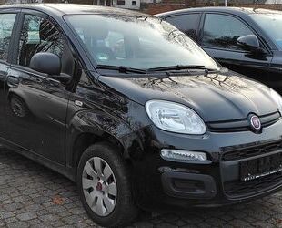 Fiat Panda Gebrauchtwagen