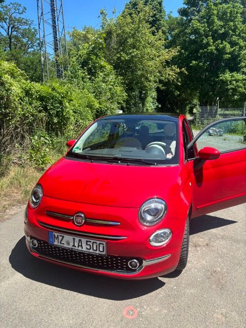 Bild 1