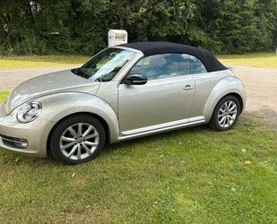 VW Beetle Gebrauchtwagen