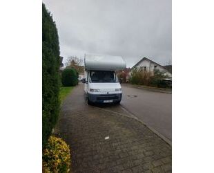 Fiat Ducato Gebrauchtwagen