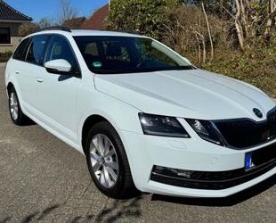 Skoda Octavia Gebrauchtwagen