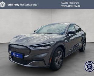 Ford Mustang Mach-E Gebrauchtwagen