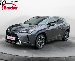 Lexus UX Gebrauchtwagen