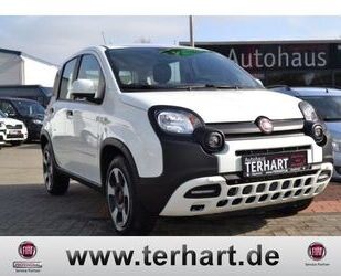 Fiat Panda Gebrauchtwagen
