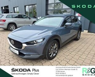 Mazda CX-30 Gebrauchtwagen