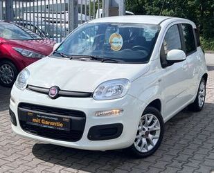 Fiat Panda Gebrauchtwagen