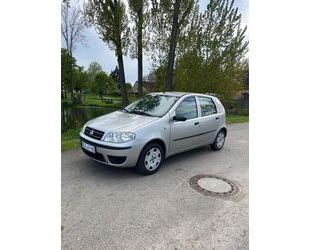 Fiat Punto Gebrauchtwagen