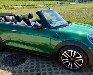 Mini Cooper Cabrio Gebrauchtwagen