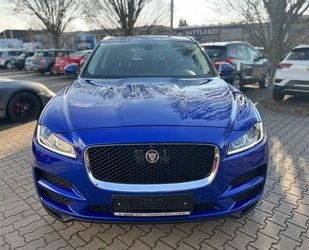 Jaguar F-Pace Gebrauchtwagen
