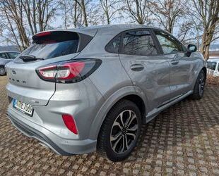 Ford Puma Gebrauchtwagen