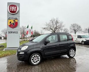 Fiat Panda Gebrauchtwagen