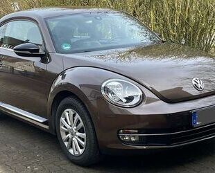 VW Beetle Gebrauchtwagen