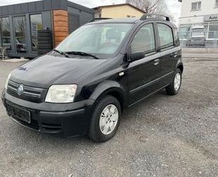 Fiat Panda Gebrauchtwagen