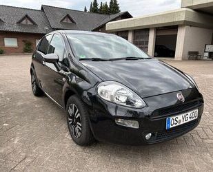 Fiat Punto Gebrauchtwagen