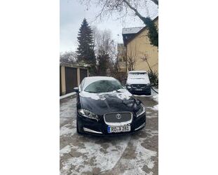 Jaguar XF Gebrauchtwagen