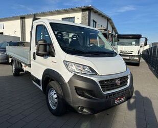 Fiat Ducato Gebrauchtwagen