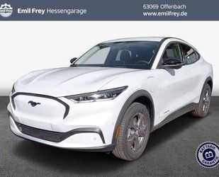Ford Mustang Mach-E Gebrauchtwagen