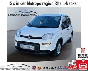 Fiat New Panda Gebrauchtwagen