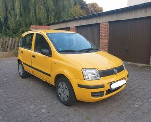 Fiat Panda Gebrauchtwagen