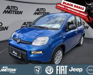 Fiat Panda Gebrauchtwagen