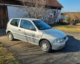 VW Polo Gebrauchtwagen