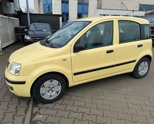Fiat Panda Gebrauchtwagen
