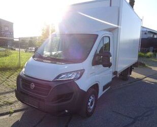 Fiat Ducato Gebrauchtwagen