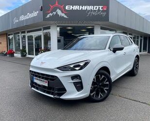 Cupra Terramar Gebrauchtwagen