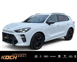 Cupra Terramar Gebrauchtwagen