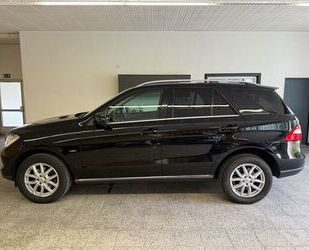 Mercedes-Benz ML 350 Gebrauchtwagen