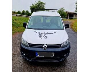 VW Caddy Gebrauchtwagen