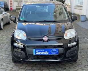 Fiat Panda Gebrauchtwagen