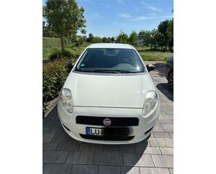 Fiat Punto Gebrauchtwagen
