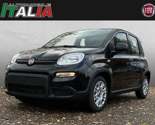 Fiat Panda Gebrauchtwagen