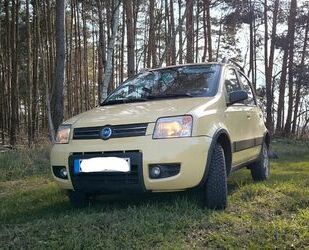 Fiat Panda Gebrauchtwagen