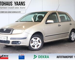 Skoda Fabia Gebrauchtwagen