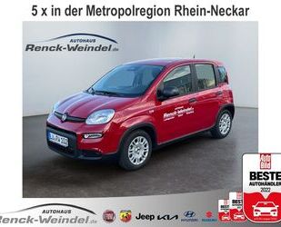 Fiat New Panda Gebrauchtwagen