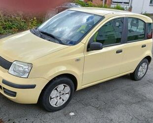 Fiat Panda Gebrauchtwagen