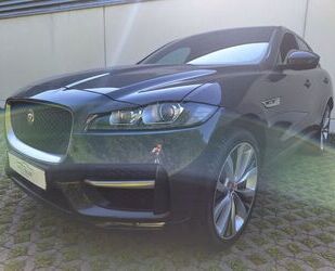 Jaguar F-Pace Gebrauchtwagen