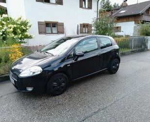 Fiat Punto Gebrauchtwagen