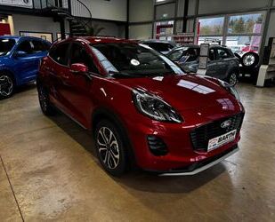 Ford Puma Gebrauchtwagen