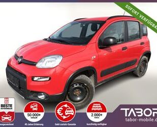 Fiat Panda Gebrauchtwagen