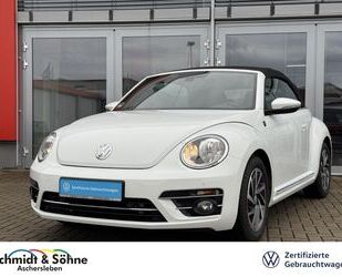 VW Beetle Gebrauchtwagen