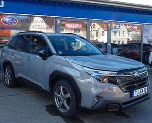 Subaru Forester Gebrauchtwagen